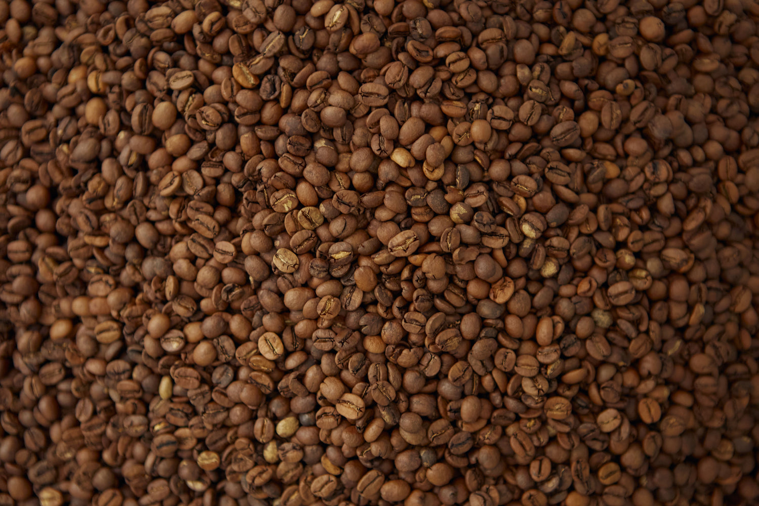 Mushroom Coffee