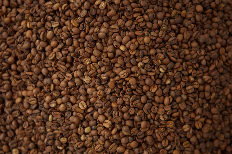 Mushroom Coffee