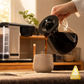 Enthusiast 8-Cup Drip Coffee Brewer with 1.3L Thermal or Glass Carafe